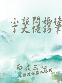 小说闪婚后我成了大佬的掌中之物