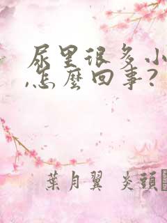 尿里很多小泡泡,怎么回事?