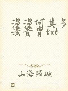 漫漫何其多 天潢贵胄txt