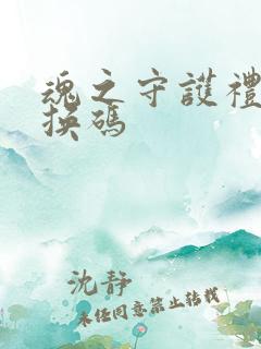 魂之守护礼包兑换码