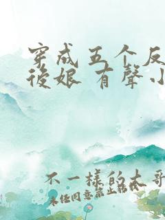 穿成五个反派的后娘 有声小说小说