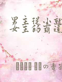 男主从小就喜欢女主的霸道总裁文