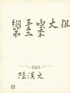 纲手吃大狙动画第三季