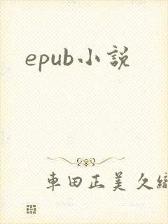 epub小说