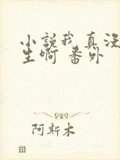 小说我真没想重生啊 番外