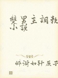 双男主调教高h小说