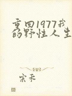 重回1977我的野性人生免费短剧