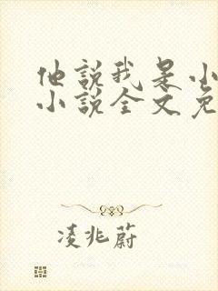 他说我是小妖精小说全文免费阅读