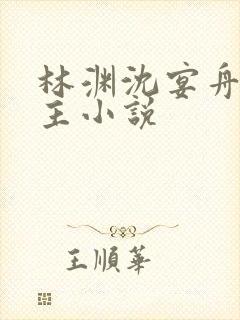 林渊沈宴舟双男主小说