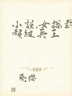 小说,女总裁的超级兵王