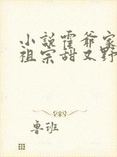 小说霍爷家的小祖宗甜又野