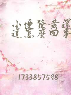 小便发黄还有味道怎么回事