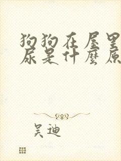 狗狗在屋里拉拉尿是什么原因