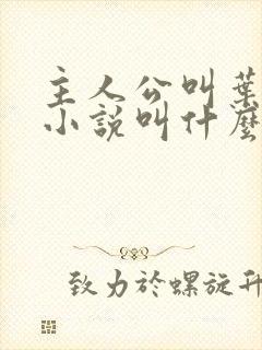 主人公叫叶辰的小说叫什么名字