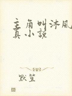 主角叫沐风的修真小说