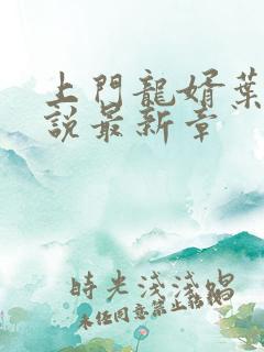 上门龙婿叶辰小说最新章