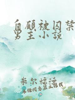 自愿被囚禁的双男主小说