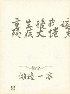 重生后我嫁给了残疾大佬 免费下载