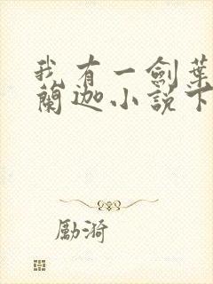 我有一剑叶观纳兰迦小说下载