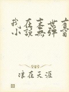 我在末世有套房小说无弹窗