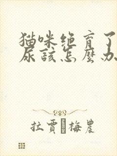 猫咪绝育了还乱尿该怎么办