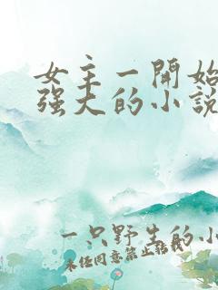 女主一开始就很强大的小说