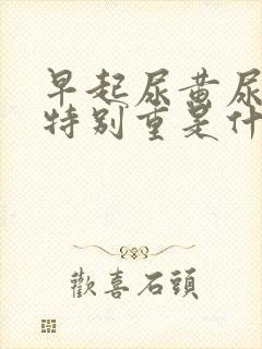 早起尿黄尿骚味特别重是什么原因