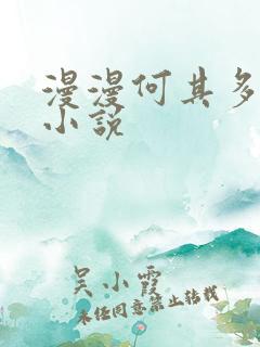 漫漫何其多写的小说
