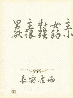 男主对女主占有欲很强的小说