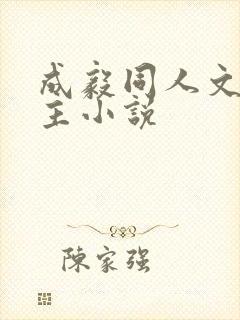 成毅同人文双男主小说