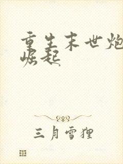 重生末世炮灰要崛起