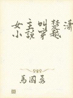 女主叫楚潇潇的小说穿越