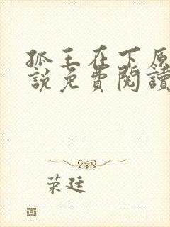 孤王在下原著小说免费阅读