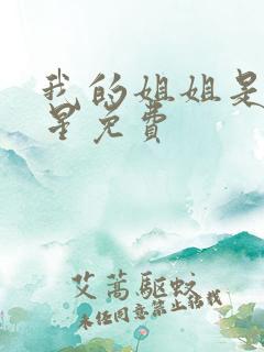 我的姐姐是大明星免费