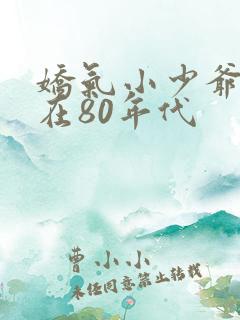 娇气小少爷重生在80年代