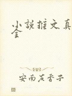 小说推文真假千金