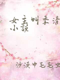 女主叫季清欢的小说