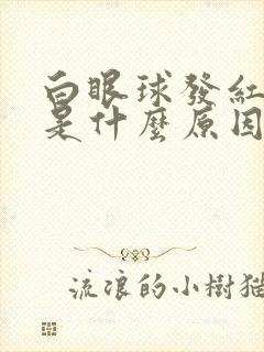 白眼球发红发黄是什么原因