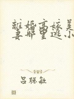 离婚高嫁美丽娇妻哪里逃小说免费阅读无弹