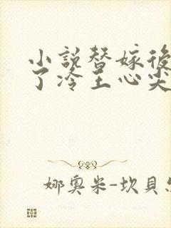 小说替嫁后我成了冷王心尖宠