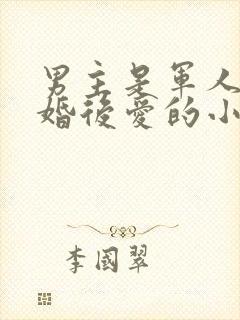 男主是军人的先婚后爱的小说