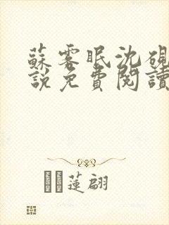 苏雾眠沈砚舟小说免费阅读最新章节