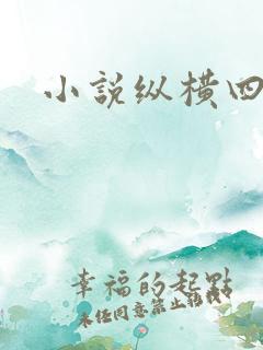 小说纵横四海