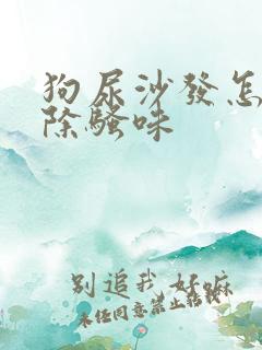 狗尿沙发怎么去除骚味