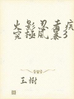 火影忍者疾风传究极风暴3