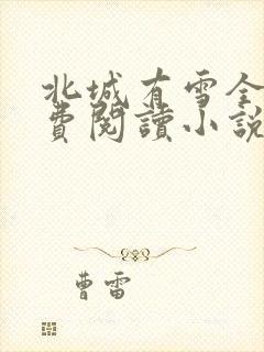 北城有雪全文免费阅读小说