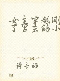 女主穿越刚好救了男主的小说