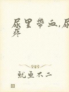 尿里带血,尿道疼