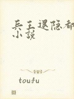 兵王退隐都市的小说