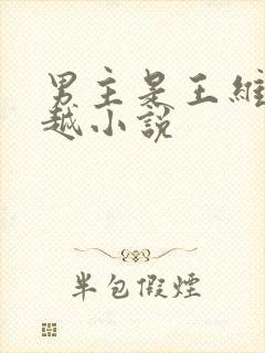 男主是王维的穿越小说